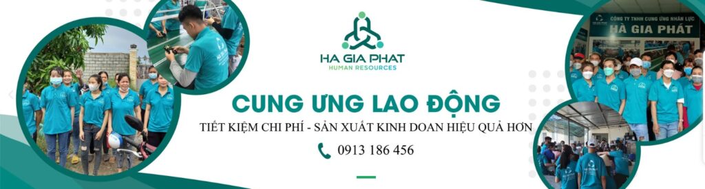 Giới thiệu dịch vụ cung ứng lao động tại huyện Đất Đỏ - Vũng Tàu