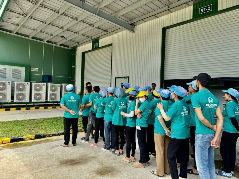 Đội ngũ lao động được tuyển chọn, đánh giá kỹ lưỡng trước khi làm việc tại doanh nghiệp.