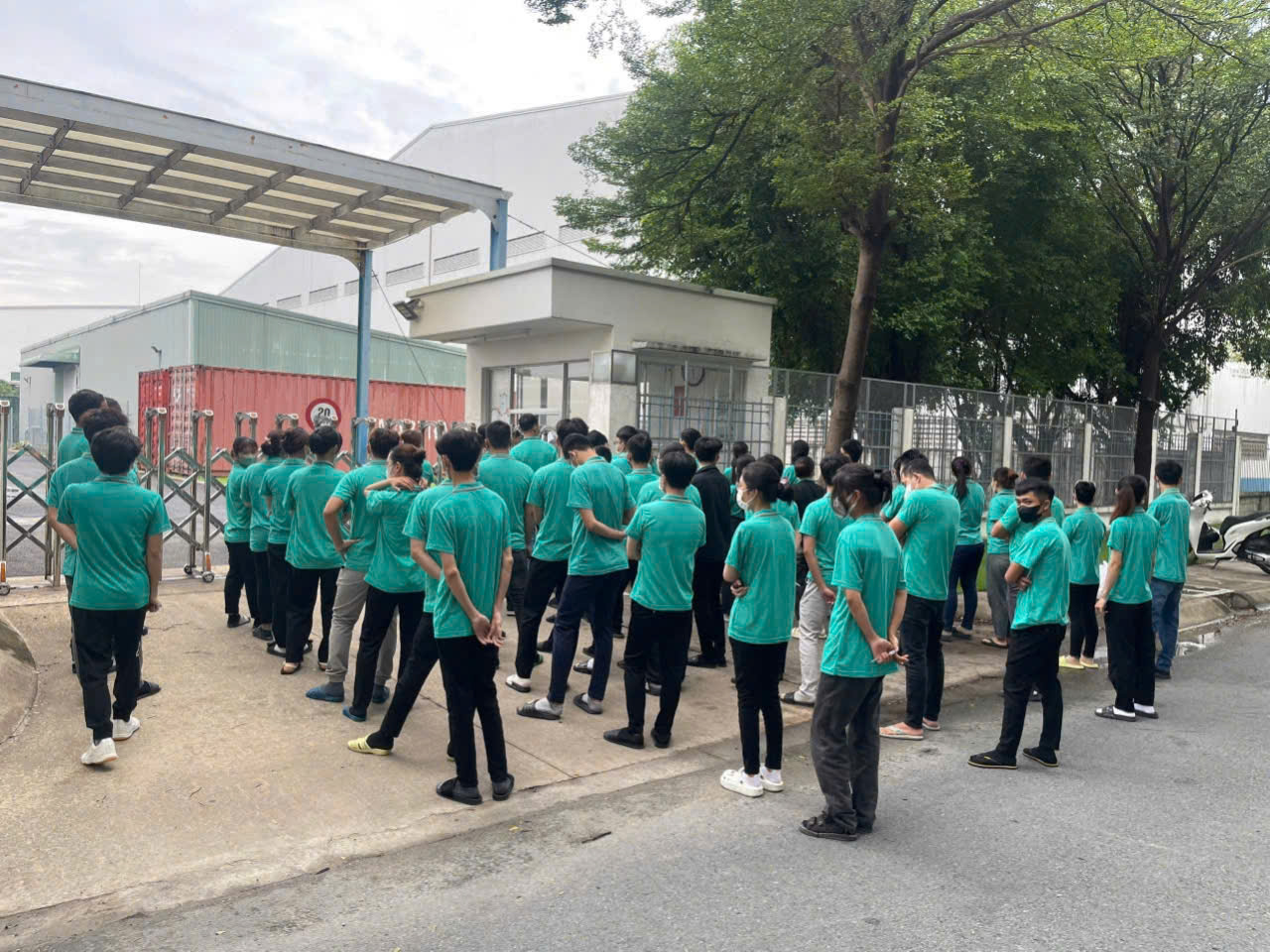 Cung ứng lao động được đào tạo bài bản