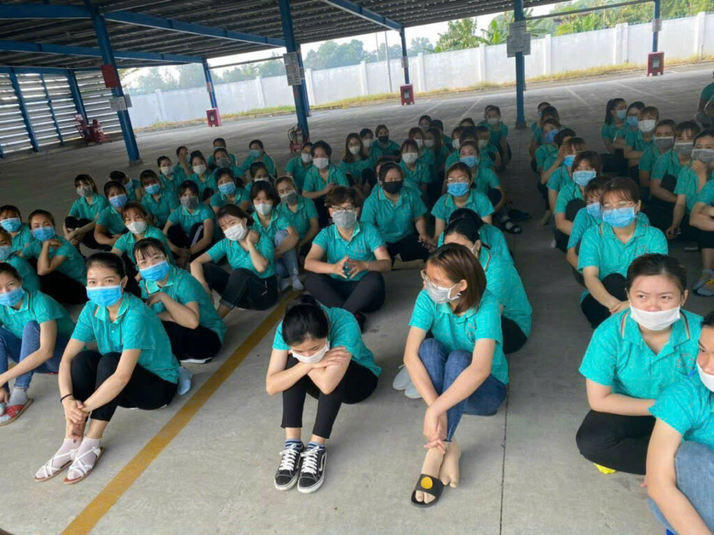 MISA GROUP kết nối doanh nghiệp với nguồn nhân lực chất lượng.