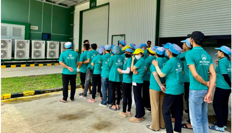 Cung ứng lao động KCN An Phước tại Misa Group